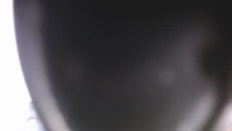 lorexxw online show from July 9, 2026, 12:15 am