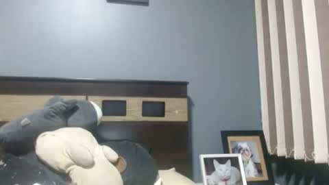 Louis bear online show from November 16, 2025, 3:45 am