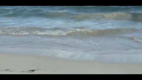 Snapshot of louis_zh chatting on November 5, 2025, 9:04 pm Louis online show from November 5, 2025, 9:04 pm