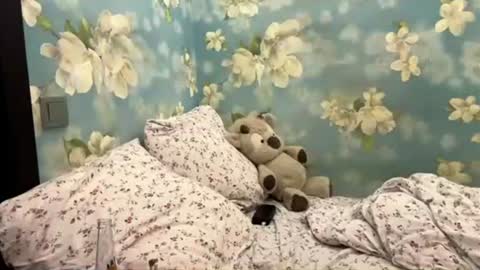 Sasha online show from July 18, 2026, 7:28 pm