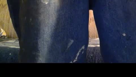 Snapshot of love69bush chatting on February 8, 2026, 4:16 am love69bush online show from February 8, 2026, 4:16 am