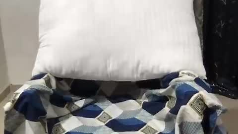 Riva online show from March 27, 2026, 10:37 am