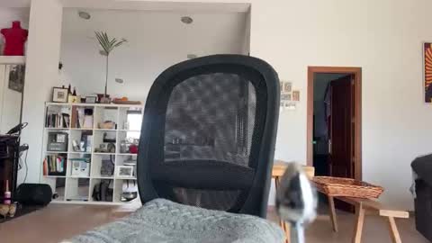 Snapshot of loveisperfect chatting on January 17, 2026, 10:31 am Loveisperfect online show from January 17, 2026, 10:31 am