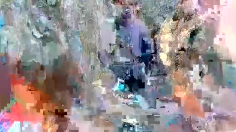 alexa alice jane daisy online show from March 8, 2025, 2:19 pm