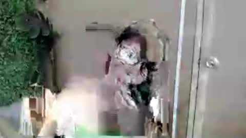 kimmy online show from July 13, 2026, 7:33 am