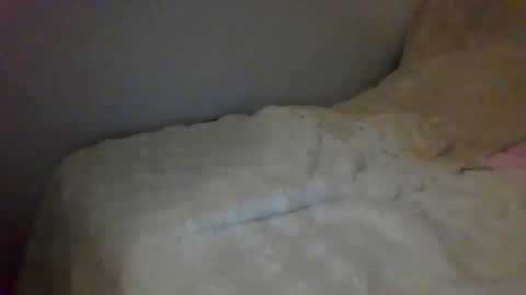 Luca online show from December 26, 2024, 8:21 pm