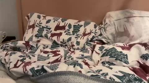 Snapshot of lucca_d123 chatting on September 22, 2025, 7:21 am lucca_d123 online show from September 22, 2025, 7:21 am