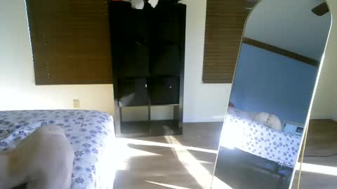 luchamuscles online show from December 5, 2024, 10:01 pm