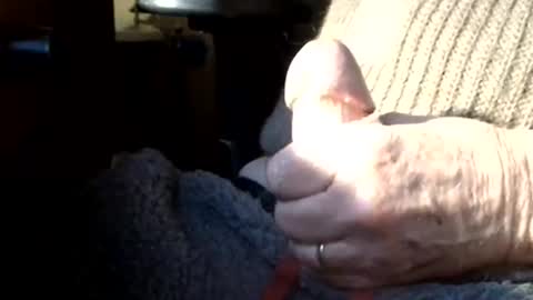 Snapshot of luckypirateboy chatting on March 8, 2026, 10:08 am BIG Daddy cock. Tips make it harder online show from March 8, 2026, 10:08 am