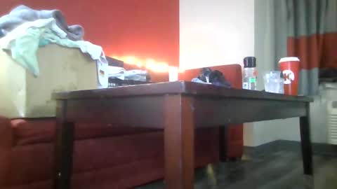 Lucy Loves Lookers online show from January 15, 2025, 12:04 pm