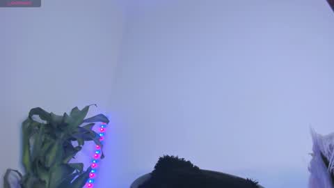 luciana online show from November 7, 2025, 1:16 am