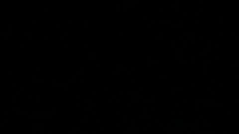 Skaluk online show from April 12, 2026, 10:48 pm