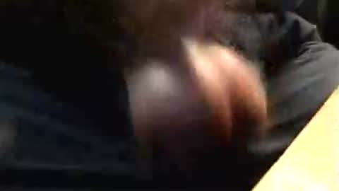 Snapshot of lukestarfckr chatting on October 17, 2025, 4:53 pm lukestarfckr online show from October 17, 2025, 4:53 pm