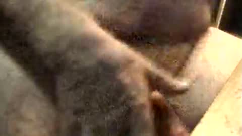 Snapshot of lukestarfckr chatting on November 10, 2025, 9:19 am lukestarfckr online show from November 10, 2025, 9:19 am