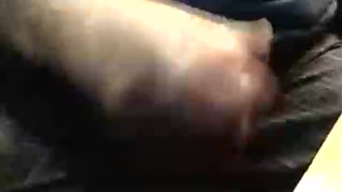 Snapshot of lukestarfckr chatting on November 23, 2025, 7:57 pm lukestarfckr online show from November 23, 2025, 7:57 pm