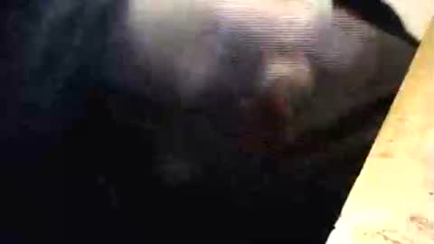 Snapshot of lukestarfckr chatting on March 1, 2026, 6:32 pm lukestarfckr online show from March 1, 2026, 6:32 pm