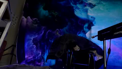 Snapshot of lukewilde chatting on February 24, 2025, 11:32 am lukewilde online show from February 24, 2025, 11:32 am