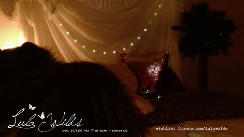 lula wilds online show from July 11, 2026, 2:58 am