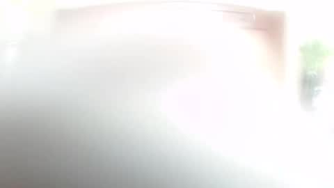 lulu_wild online show from February 14, 2026, 9:17 am