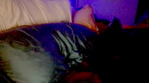 Snapshot of lunadaddysgirl chatting on November 25, 2025, 9:20 am Luna Daddys Girl online show from November 25, 2025, 9:20 am