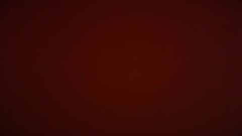 lust_4_daze online show from May 3, 2026, 5:41 pm