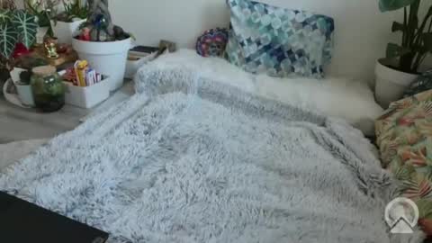 Snapshot of lustlnbalancevh chatting on January 19, 2026, 7:56 am lustlnbalancevh online show from January 19, 2026, 7:56 am