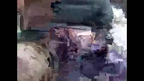 lutorres online show from November 16, 2025, 10:32 am