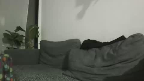 luzardol online show from November 13, 2025, 1:37 am