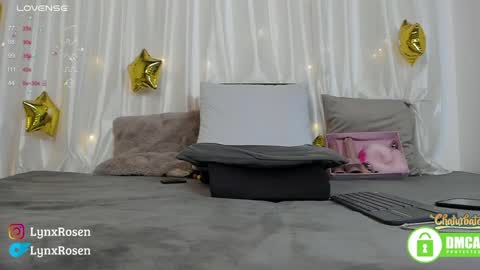 Snapshot of lynxrosen chatting on December 19, 2024, 12:13 am Lynx Rosen online show from December 19, 2024, 12:13 am