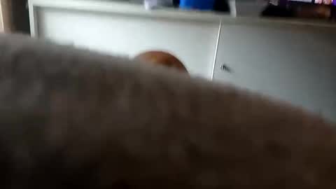 Snapshot of mace141414 chatting on September 26, 2025, 9:41 pm MACE online show from September 26, 2025, 9:41 pm