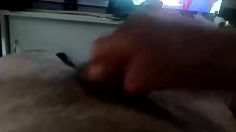 Snapshot of mace141414 chatting on December 16, 2025, 7:30 pm MACE online show from December 16, 2025, 7:30 pm