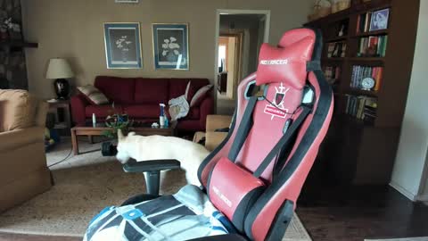 Snapshot of machinecumkelly69 chatting on September 21, 2025, 6:09 pm machinecumkelly69 online show from September 21, 2025, 6:09 pm