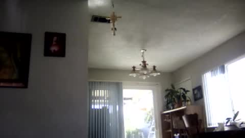 magdalena_805 online show from February 7, 2025, 9:48 pm