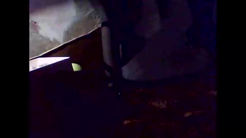 romantic online show from November 2, 2025, 7:33 am