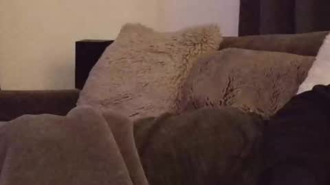 Snapshot of magic_passionitaliano chatting on March 3, 2026, 6:36 pm magic_passionitaliano online show from March 3, 2026, 6:36 pm