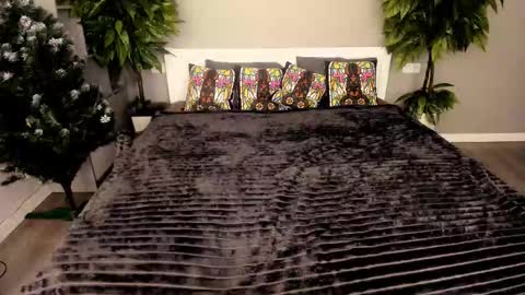 Emily online show from December 15, 2025, 2:10 pm