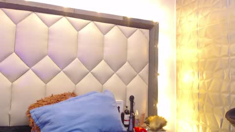 Snapshot of maiapark chatting on January 22, 2025, 8:49 pm Maia online show from January 22, 2025, 8:49 pm