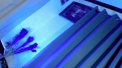 majesticcock_kyla online show from November 27, 2025, 3:03 pm