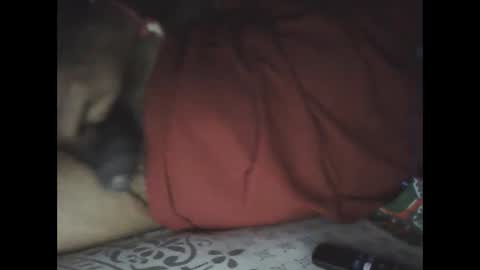 Sree0703 online show from February 24, 2025, 6:04 pm