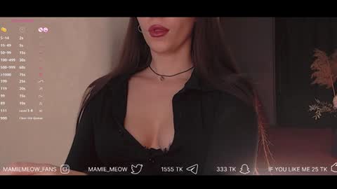 Snapshot of mamiemeow chatting on February 6, 2025, 2:48 pm Your Miss Alice online show from February 6, 2025, 2:48 pm