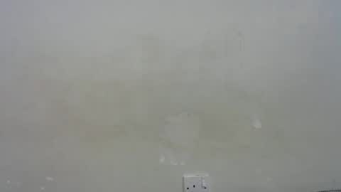 mamuuu_ online show from January 10, 2026, 7:21 am