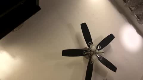 Kaleb online show from November 21, 2025, 9:19 am