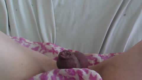 Snapshot of manclitpatsy chatting on February 22, 2025, 5:35 pm .. .. online show from February 22, 2025, 5:35 pm