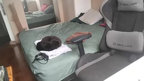 Snapshot of mandymel chatting on February 21, 2025, 12:50 pm Muw online show from February 21, 2025, 12:50 pm