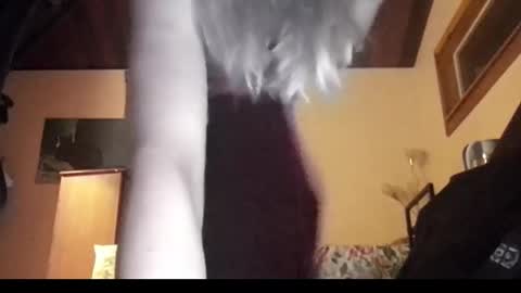 Snapshot of mangoseeed chatting on November 1, 2025, 11:12 am mangoseeed online show from November 1, 2025, 11:12 am