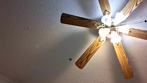 Snapshot of maniak_paraphiliacz chatting on February 1, 2026, 5:17 am Jan and Man online show from February 1, 2026, 5:17 am