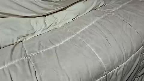 Dickinabox online show from November 17, 2025, 8:42 am