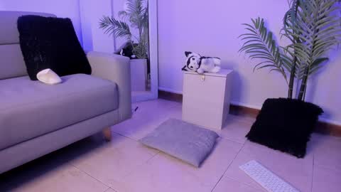 Snapshot of manu_velez_ chatting on January 17, 2025, 5:41 pm Manu Velez online show from January 17, 2025, 5:41 pm