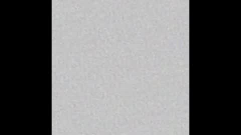 Maple online show from February 6, 2025, 8:45 pm