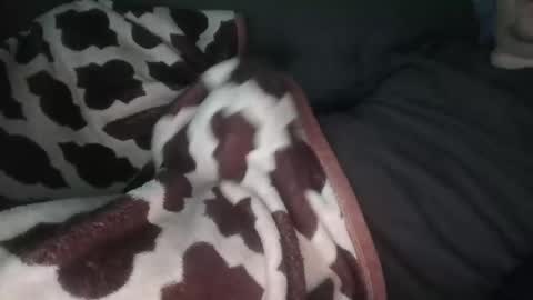 Snapshot of marekishere chatting on November 14, 2025, 12:48 pm marek online show from November 14, 2025, 12:48 pm